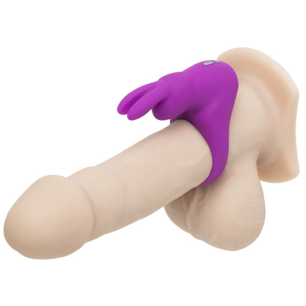 HappyRabbit_CRing_Purple_ProductImage_84681-01_result